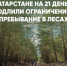 В нескольких районах Татарстана вводят ограничение на пребывание граждан в лесу - Bugulma.ws