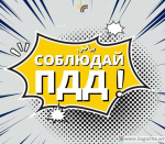 Соблюдайте правила дорожного движения !!!