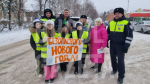 Бугульминские школьники совместно с ГАИ пожелали жителям безопасного Нового года