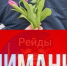 В преддверии 8 марта 2025 года в регионах России проведут массовые рейды ГИБДД. - Bugulma.ws