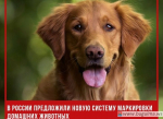 В России предложили новую систему маркировки домашних животных.