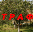 Юрист рассказал о штрафах за нарушения на дачном участке. - Bugulma.ws