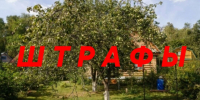Юрист рассказал о штрафах за нарушения на дачном участке. - Bugulma.ws