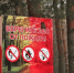 В Татарстане ввели штормовое предупреждение. - Bugulma.ws