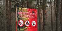 В Татарстане ввели штормовое предупреждение. - Bugulma.ws