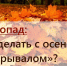 🍁 Что делать с опавшими листьями? - Bugulma.ws