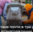 Ежемесячное вознаграждение опекунам в Татарстане хотят увеличить. - Bugulma.ws