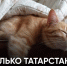 ⭐️Выходные в честь Дня защитника Отечества. - Bugulma.ws