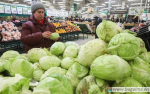 Капуста: самая доступная по цене в России.
