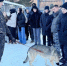 В ОМВД России по Бугульминскому району прошла ежегодная всероссийская акция «Студенческий десант» - Бугульминская газета