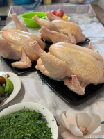 Нажмите для просмотра в полном размере...