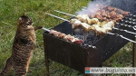 🍖 Юристы разъяснили требования пожарной безопасности при приготовлении шашлыка.