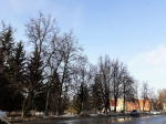 Прогноз погоды в Бугульме на 28 марта