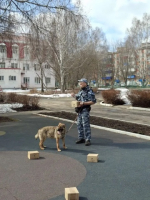 JPEG Файл