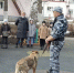 Кинолог и служебная собака научили бугульминских дошкольников безопасному поведению при встрече с бродячими животными - Бугульминская газета