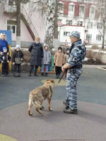 Кинолог и служебная собака научили бугульминских дошкольников безопасному поведению при встрече с бродячими животными