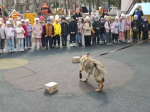 Кинолог и служебная собака научили бугульминских дошкольников безопасному поведению при встрече с бродячими животными