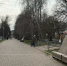 Слабый снег и умеренный ветер прогнозируют синоптики в Бугульме 23 апреля - Бугульминская газета