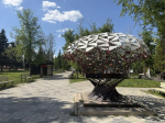 Ясную погоду прогнозируют синоптики в Бугульме 21 мая