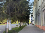 В Бугульме 9 июня синоптики прогнозируют дождливую погоду