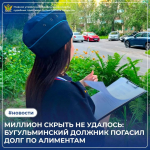 Житель Бугульмы скрывал доход и накопил миллионный долг по алиментам