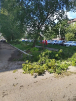 Бугульма ликвидирует последствия урагана