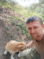 Юные бугульминцы посвятили рисунки собаке, спасшей военнослужащих
