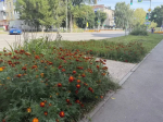Слабый дождь прогнозируют синоптики в Бугульме 8 сентября