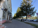 13 градусов тепла ожидается в Бугульме 8 октября